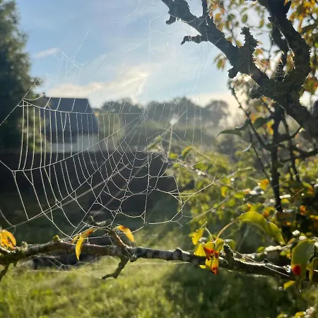 Дом отдыха Apple Tree House *