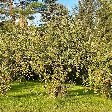 Дом отдыха Apple Tree House *