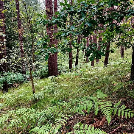 Apple Tree House Feriehus *