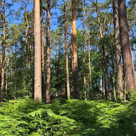 Feriehus Apple Tree House Lubin (West Pomeranian)