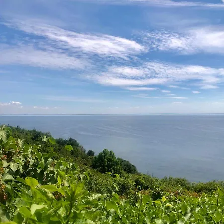 Apple Tree House Lubin (West Pomeranian)