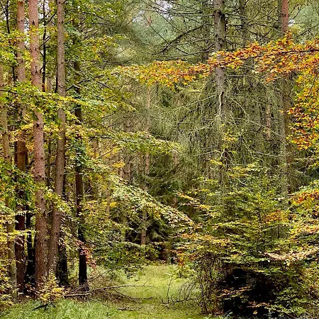 Apple Tree House * Lubin (West Pomeranian)