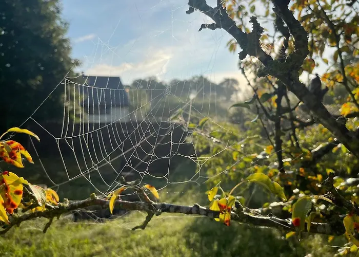 Casa vacanze Apple Tree House *