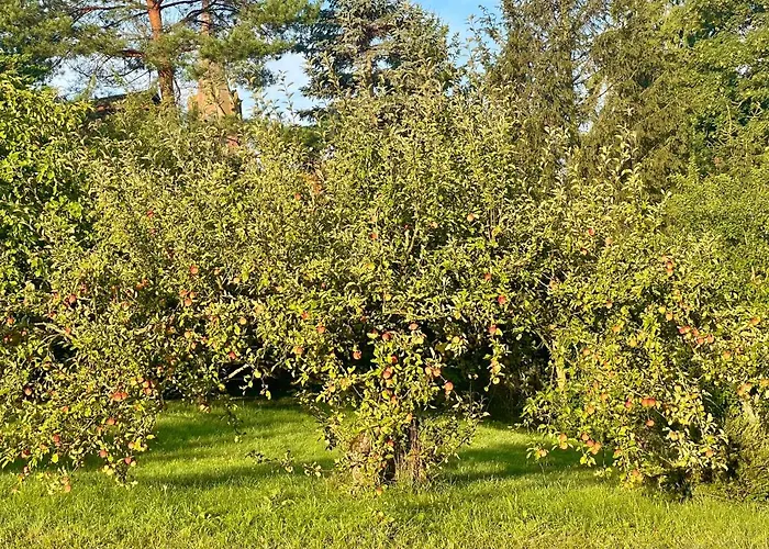 Casa vacanze Apple Tree House *
