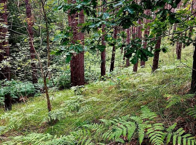 Apple Tree House Casa vacanze *