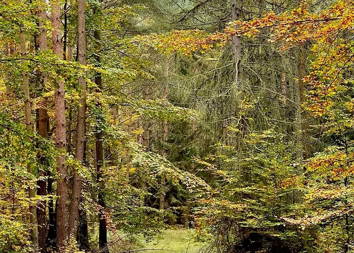 Apple Tree House * Lubin (West Pomeranian)